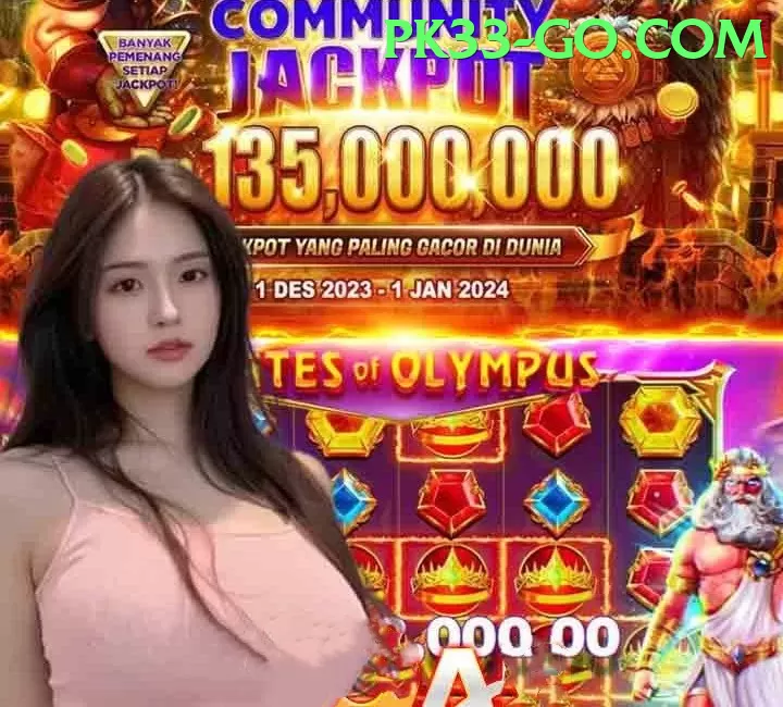 pk33 - user dashboard on mobile device