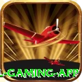 jjzz Royal Gaming App